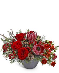 Noir Noel from Brennan's Florist and Fine Gifts in Jersey City