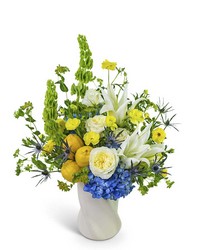 Luna Citrus from Brennan's Florist and Fine Gifts in Jersey City
