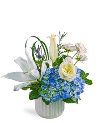 Luna Pearl from Brennan's Florist and Fine Gifts in Jersey City Luna Pearl from Brennan's Florist and Fine Gifts in Jersey City