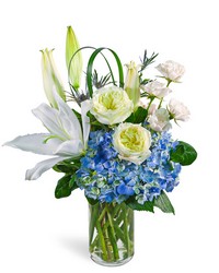 Luna Light from Brennan's Florist and Fine Gifts in Jersey City Luna Light from Brennan's Florist and Fine Gifts in Jersey City