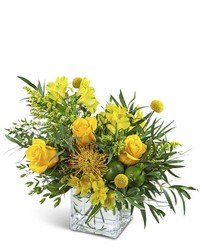 Zesty Twist from Brennan's Florist and Fine Gifts in Jersey City Zesty Twist from Brennan's Florist and Fine Gifts in Jersey City