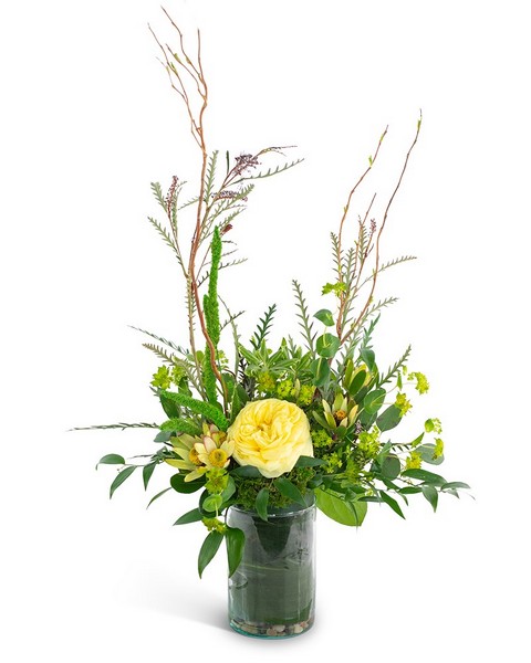 Jersey City Brennans Flower Shop New Jersey Flowers Jersey City New Jersey Florist Send Flowers Online
