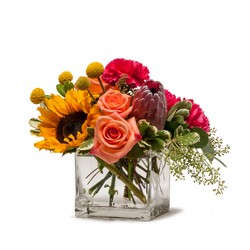 Flower Fun From Brennans Florist And Fine Gifts In Jersey City Flower Fun From Brennans Florist And Fine Gifts In Jersey City