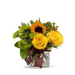 Golden Woodland From Brennans Florist And Fine Gifts In Jersey City Golden Woodland From Brennans Florist And Fine Gifts In Jersey City